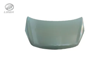 درب موتور لیفان x50(اتومات و دستی) درب موتور لیفان x50(اتومات و دستی)